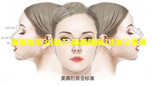 隆胸脂肪3d演示 脂肪隆胸3d演示视频